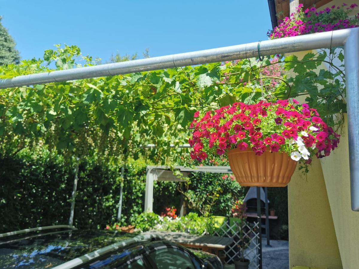 Apartman Nekic Cres Esterno foto